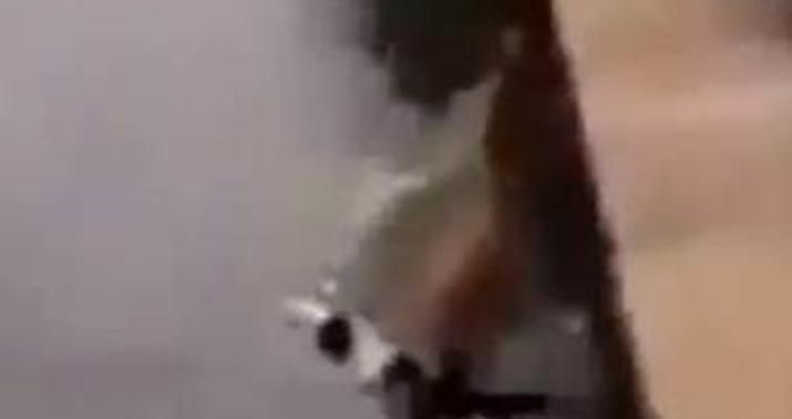 Gənclərdən qeyri-insani addım: "Bomj"u dənizə atdılar - VİDEO